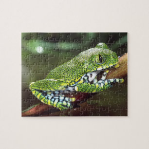 Big Eye Treefrog, Leptopelis vermiculatus, Jigsaw Puzzle