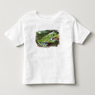 Big Eye Treefrog, Leptopelis vermiculatus, Toddler T-shirt