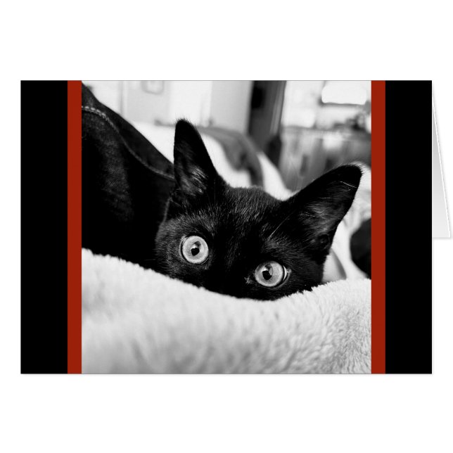 Big-Eyed Kitty, Cartes de note vierges (Devant horizontal)
