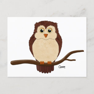 Big Eyed Owl - Carte postale