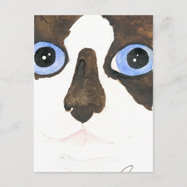 Big Eyed Snowshoe cat Carte postale (Devant)