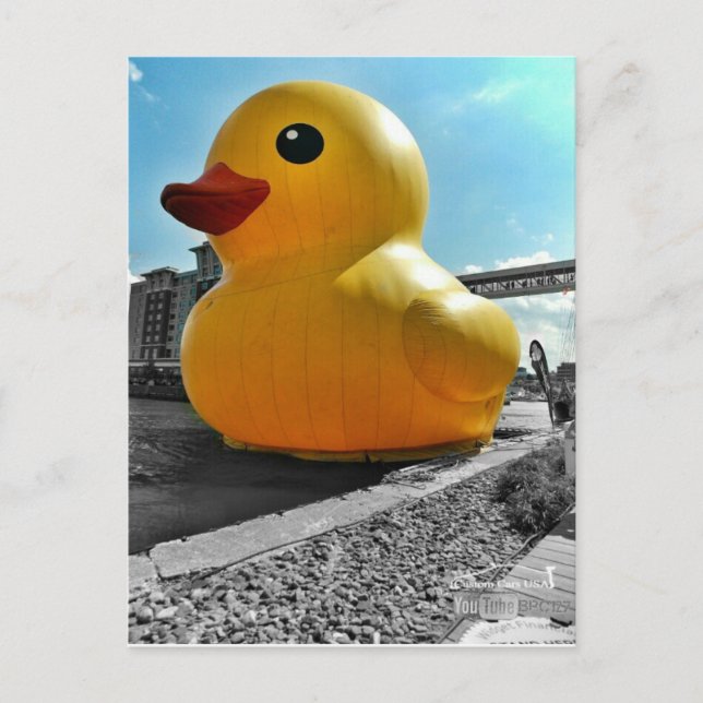 Big Famous Rubber Duck In Erie PA Postcard (Front)