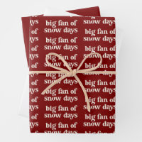 Big Fan of Snow Days Funny Winter Break Teachers