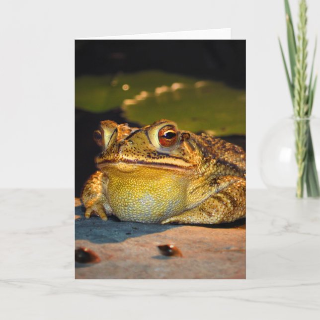 Big Fat Toad Card (Front)