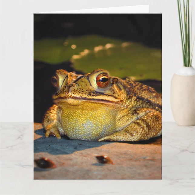 Big Fat Toad Card (Front)
