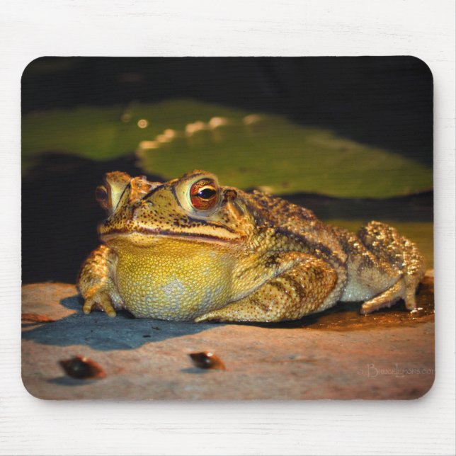 Big Fat Toad Mouse Pad (Front)