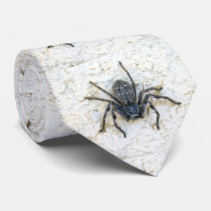 Big Female Huntsman Spider, Neck Tie