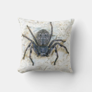 Big Female Huntsman Spider, Throw Pillow