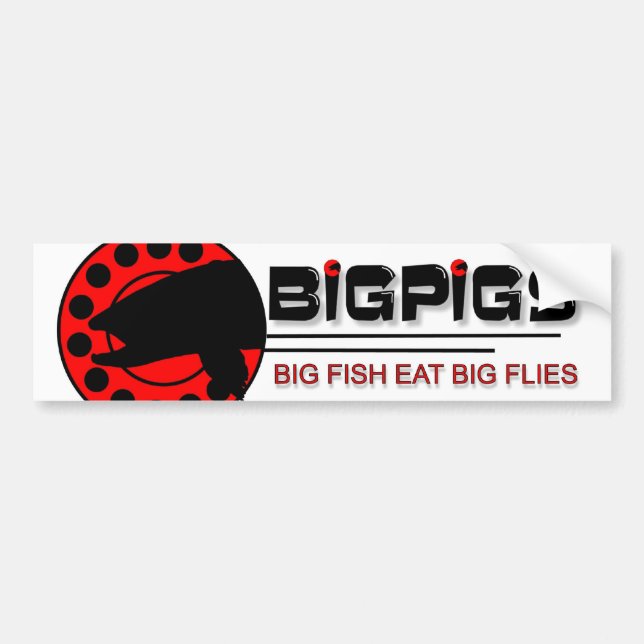 Big Fish Eat Big Flies Bumper Sticker (Front)