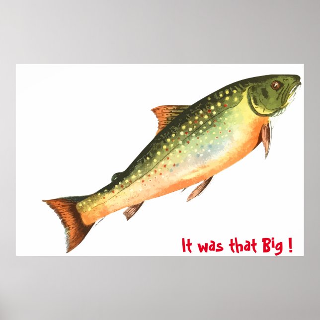 Big Fish  Poster (Front)