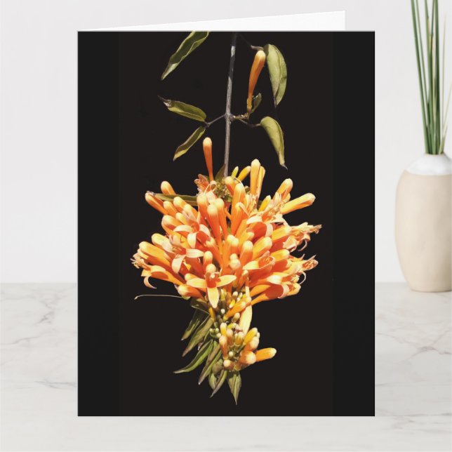 Big Folded Flower Greeting Card (Front)