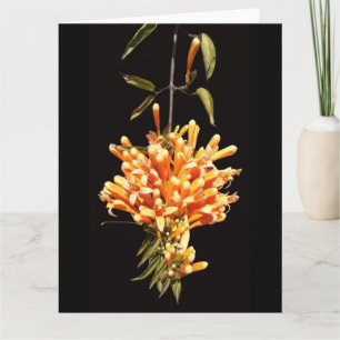 Big Folded Flower Greeting Card