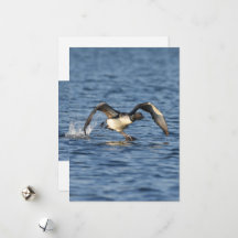 Big Foot Loon Flat Holiday Card