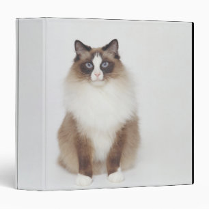 Big Furry Cat Binder