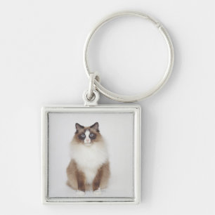 Big Furry Cat Keychain