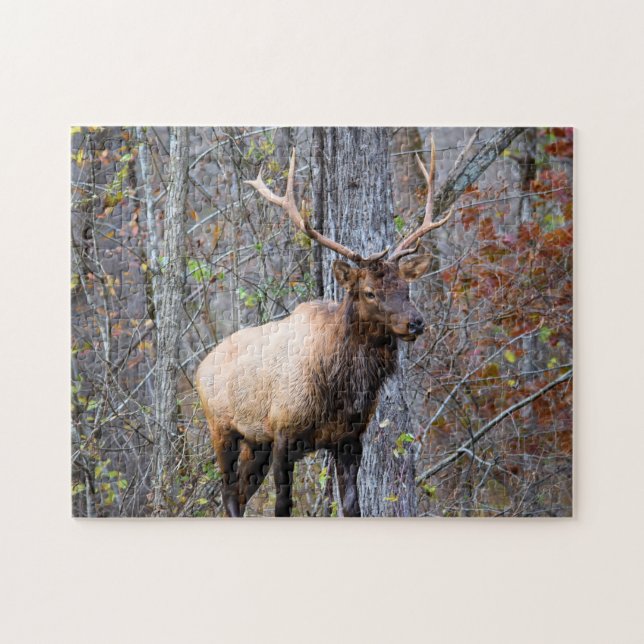 Big Game Hunter - Bull Elk - 11x14 inch Jigsaw Puzzle (Horizontal)