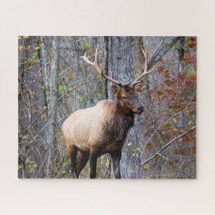 Big Game Hunter - Bull Elk - 16x20 inch Jigsaw Puzzle