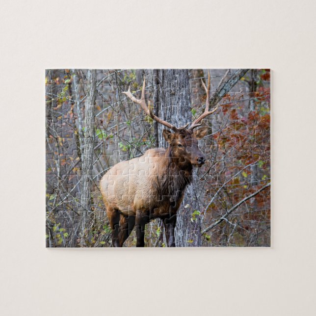 Big Game Hunter - Elk Season - 8x10 inch Jigsaw Puzzle (Horizontal)