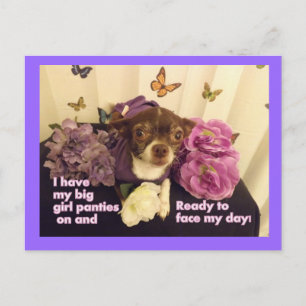 Big girl Panties Chihuahua Card