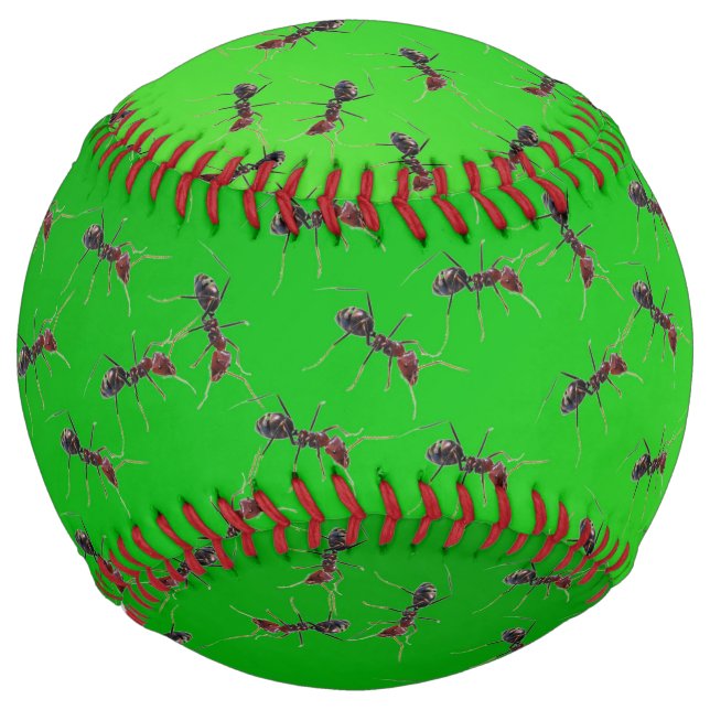 Big Green Bullants, Softball (Front)