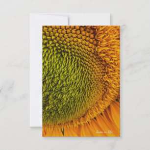 Big Green Centre Sunflower Card