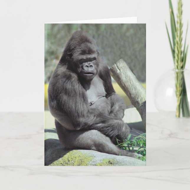 Big Gunns Gorilla Note Card (Front)