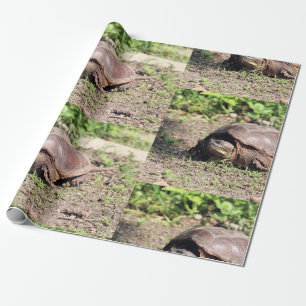 Big guy wrapping paper