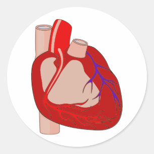 Big Hearted Classic Round Sticker