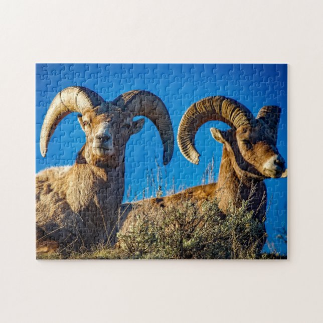 Big Horn Game Puzzle (Horizontal)