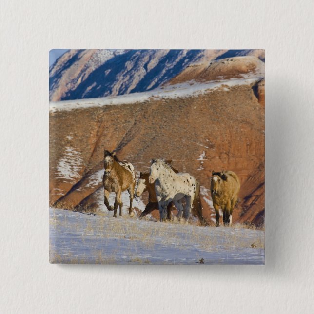 Big Horn Mountains, Horses running 2 Inch Square Button (Front)