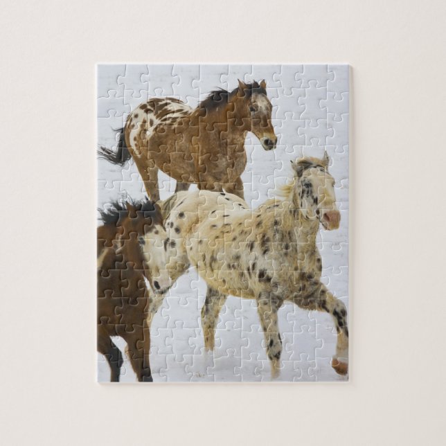 Big Horn Mountains, Horses running in the snow 4 Jigsaw Puzzle (Vertical)