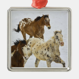 Big Horn Mountains, Horses running in the snow 4 Metal Ornament