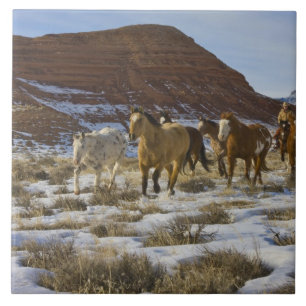 Big Horn Mountains, Horses Running in The Snow Tile