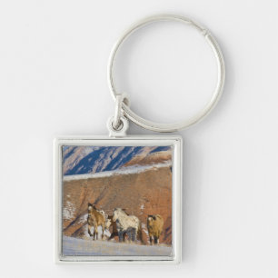 Big Horn Mountains, Horses running Keychain