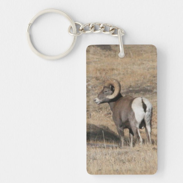 Big Horn Ram Acrylic Keychain (Front)
