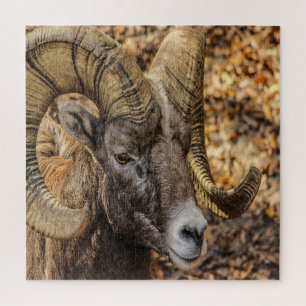 Big Horn Ram Jigsaw Puzzle
