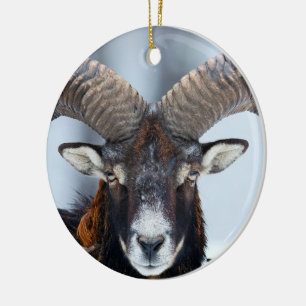 Big Horn Ram Sheep - Mouflon Ceramic Ornament
