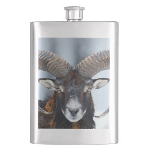 Big Horn Ram Sheep - Mouflon Hip Flask