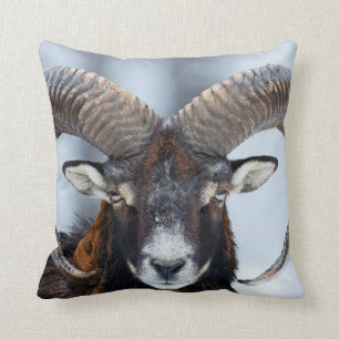 Big Horn Ram Sheep - Mouflon Throw Pillow