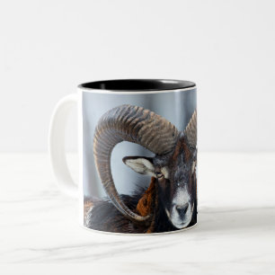 Big Horn Ram Sheep - Mouflon Two-Tone Coffee Mug