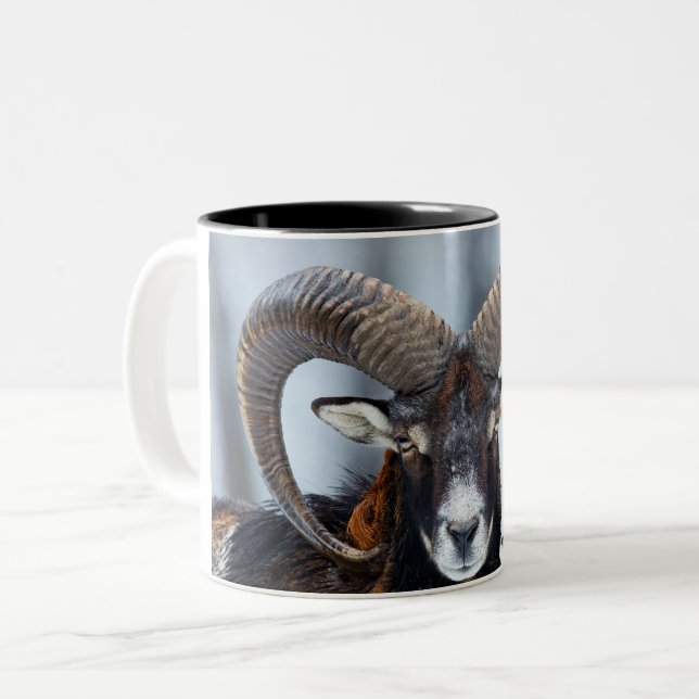 Big Horn Ram Sheep - Mouflon Two-Tone Coffee Mug (Front Left)