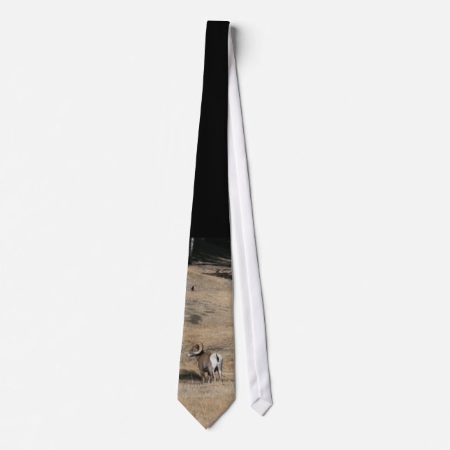 Big Horn Ram Tie (Front)