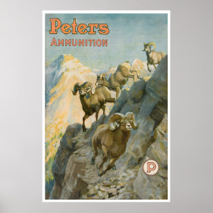 Big Horn Sheep Hunting Art Western Poster Vintage