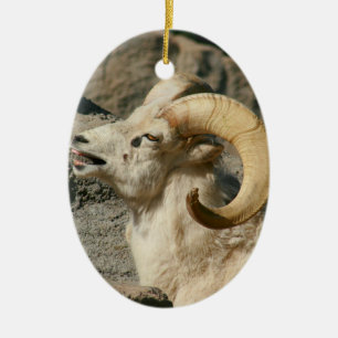 Big Horn Sheep Laughing Ceramic Ornament