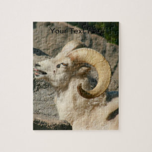 Big Horn Sheep Laughing Jigsaw Puzzle