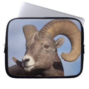 big horn sheep, mountain sheep, Ovis canadensis, Laptop Sleeve