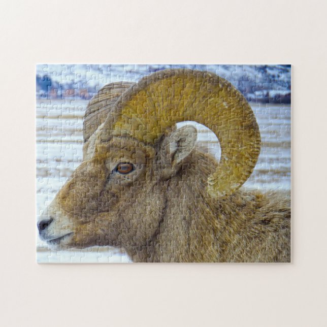 Big Horned Sheep Montana. Jigsaw Puzzle (Horizontal)