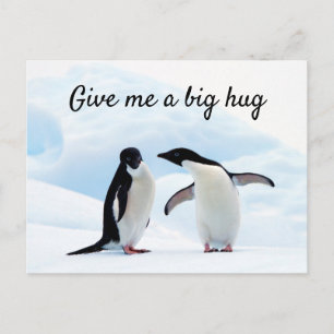 Big hug Penguin on ice photo with text Postcard
