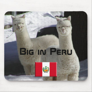 Big in Peru Mouse Pad