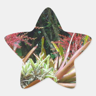 Big Island of Hawaii Botanical Gardens Star Sticke Star Sticker